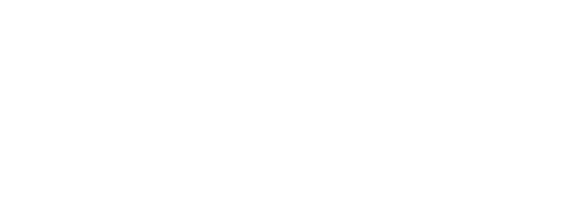 ZRV Studios